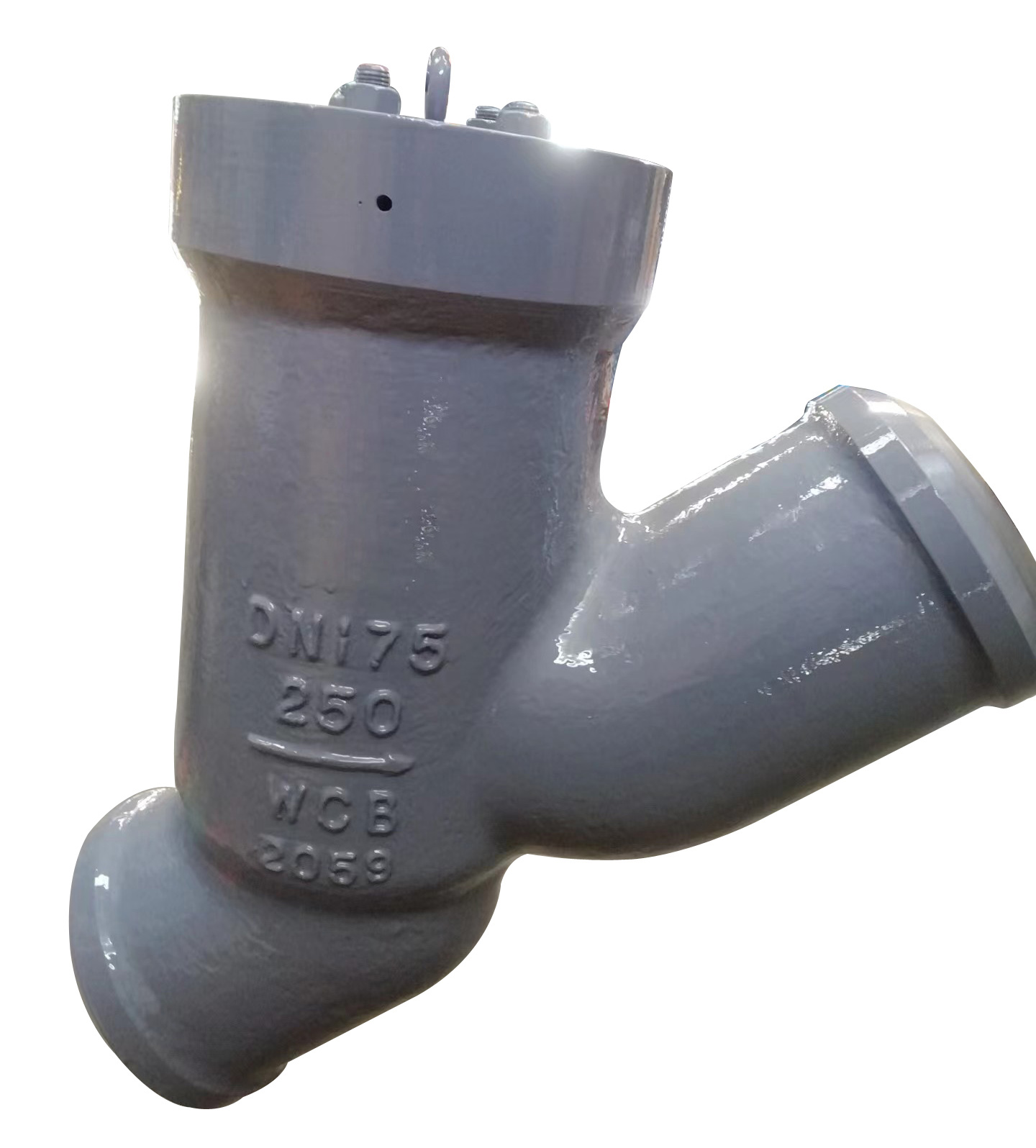 Y型止回阀Y67Y-250C-DN175